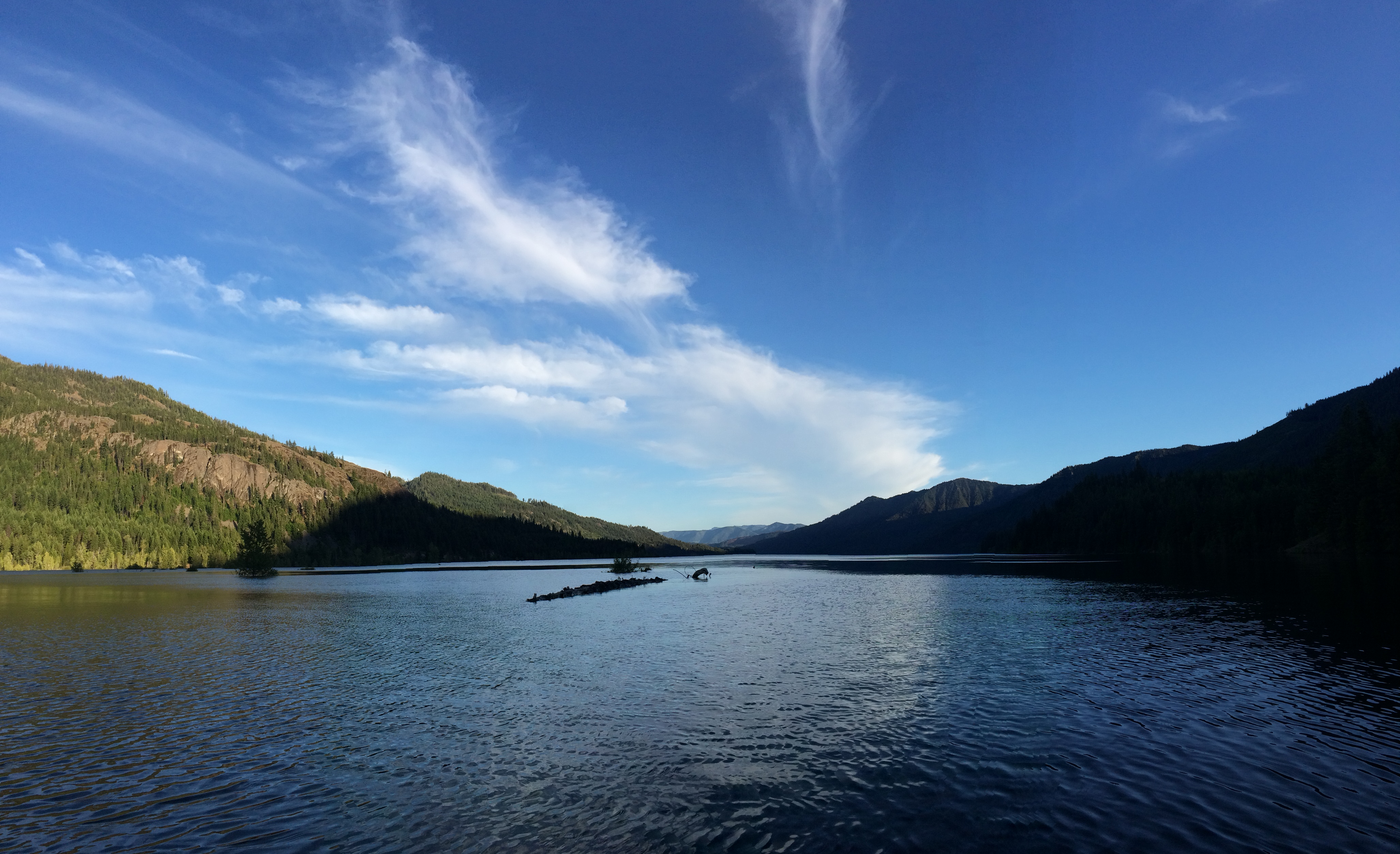 Camping at French Cabin Creek Rd. 