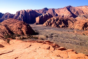 Explore the Petrified Sand Dunes