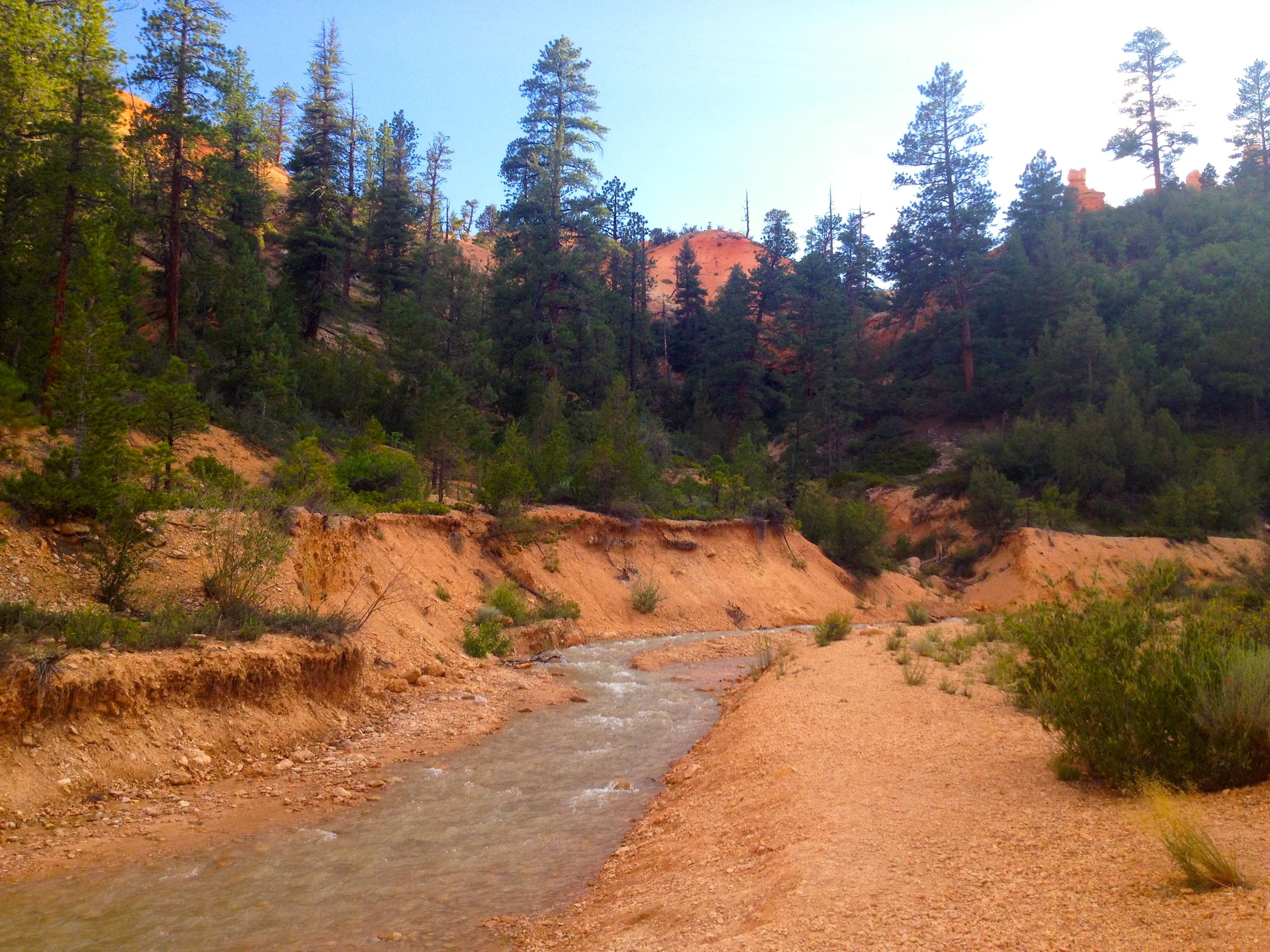 Hike Mossy Cave in Bryce Canyon