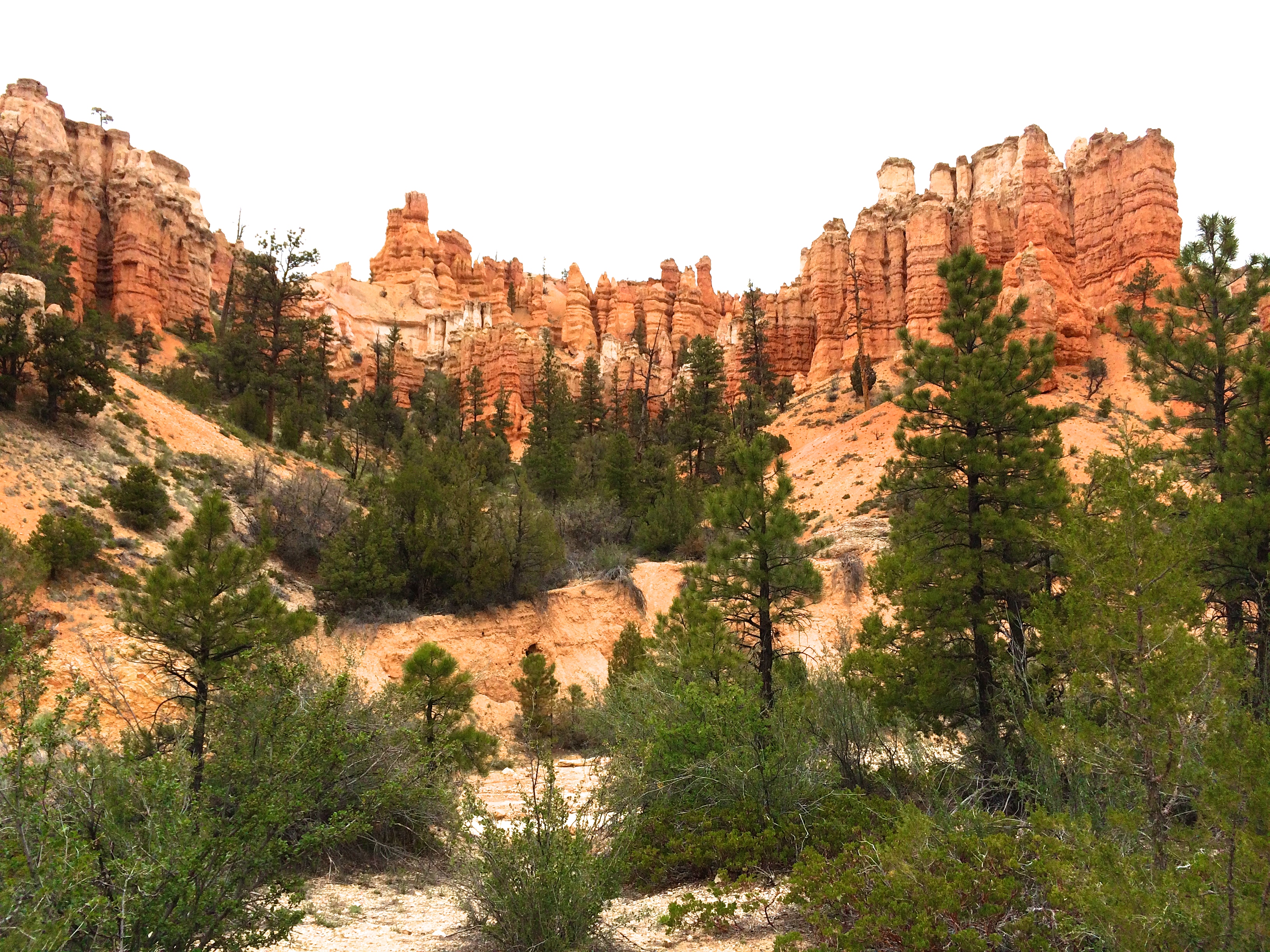 Hike Mossy Cave in Bryce Canyon