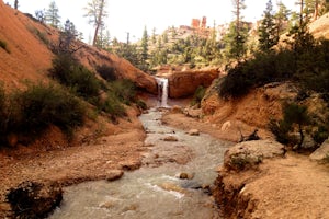 Hike Mossy Cave in Bryce Canyon