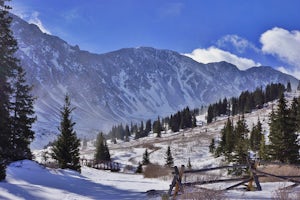 Bakerville Scenic Snowshoe/XC Ski Trek