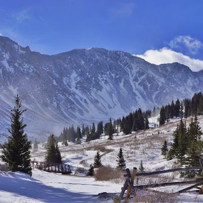 Bakerville Scenic Snowshoe/XC Ski Trek