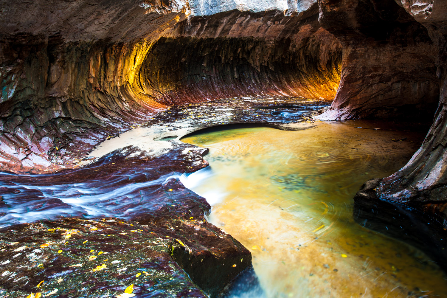 The Subway - Bottom Up