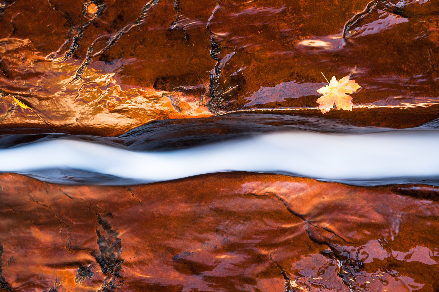 The Subway - Bottom Up