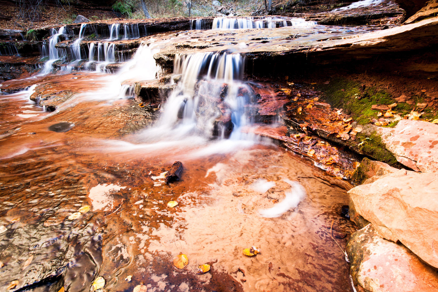 The Subway - Bottom Up