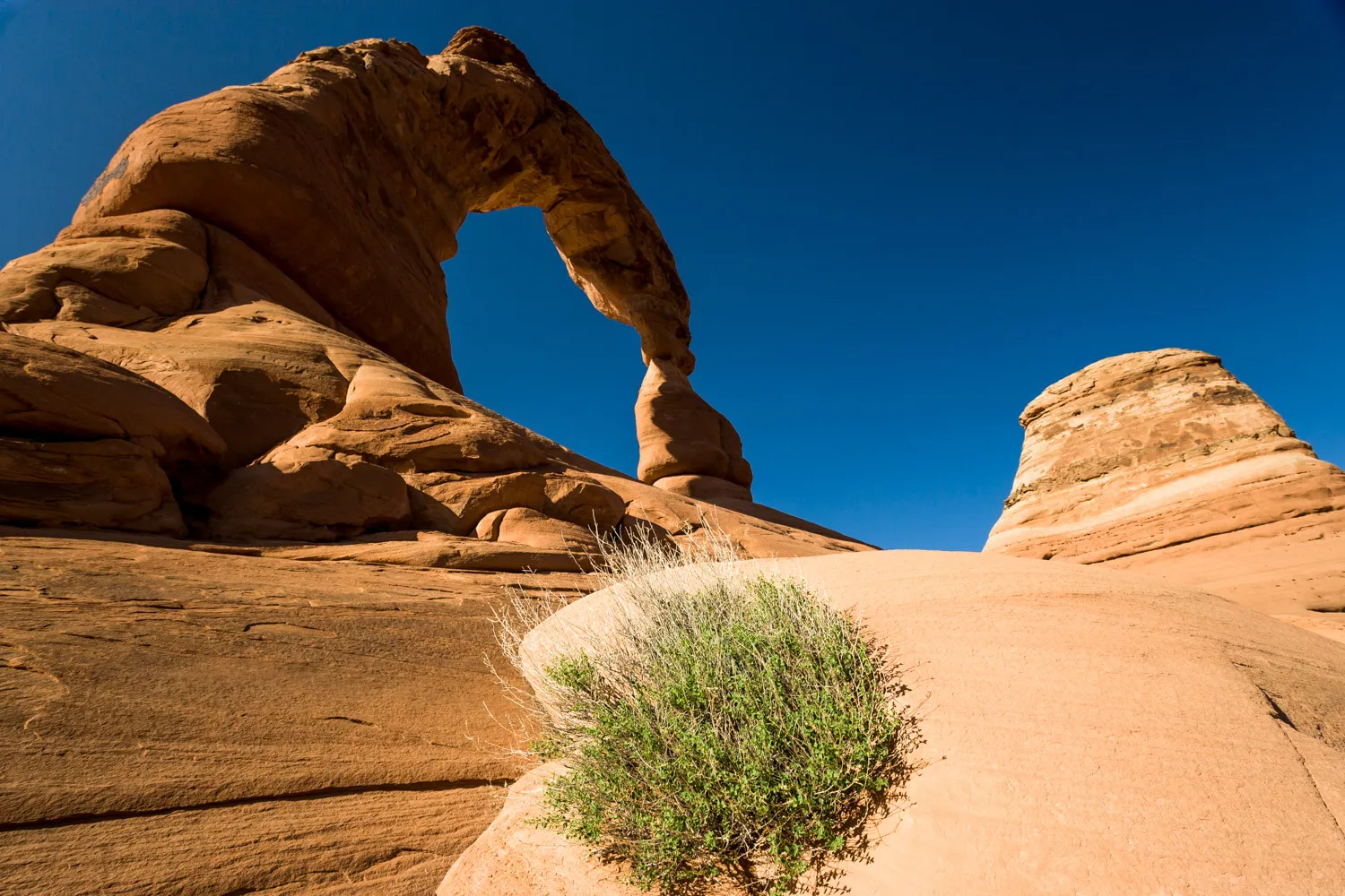 Hike to Delicate Arch