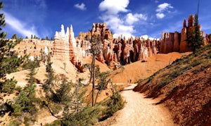 Navajo Loop and Queens Garden Trail