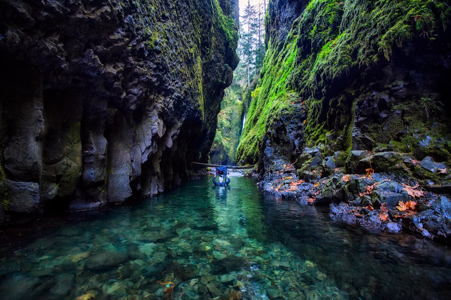 Image result for Oneonta Gorge, Oregon
