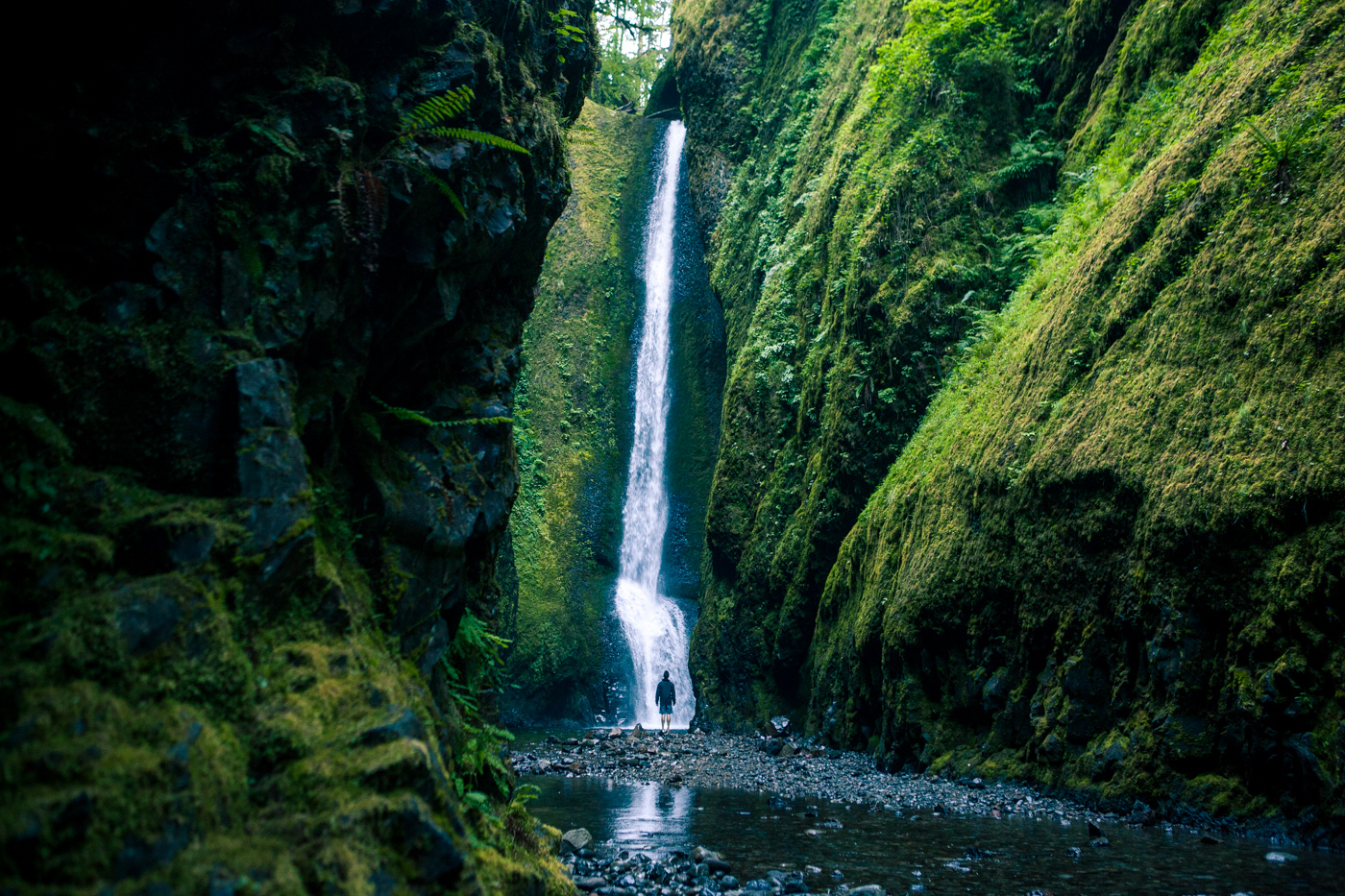 Oneonta Gorge