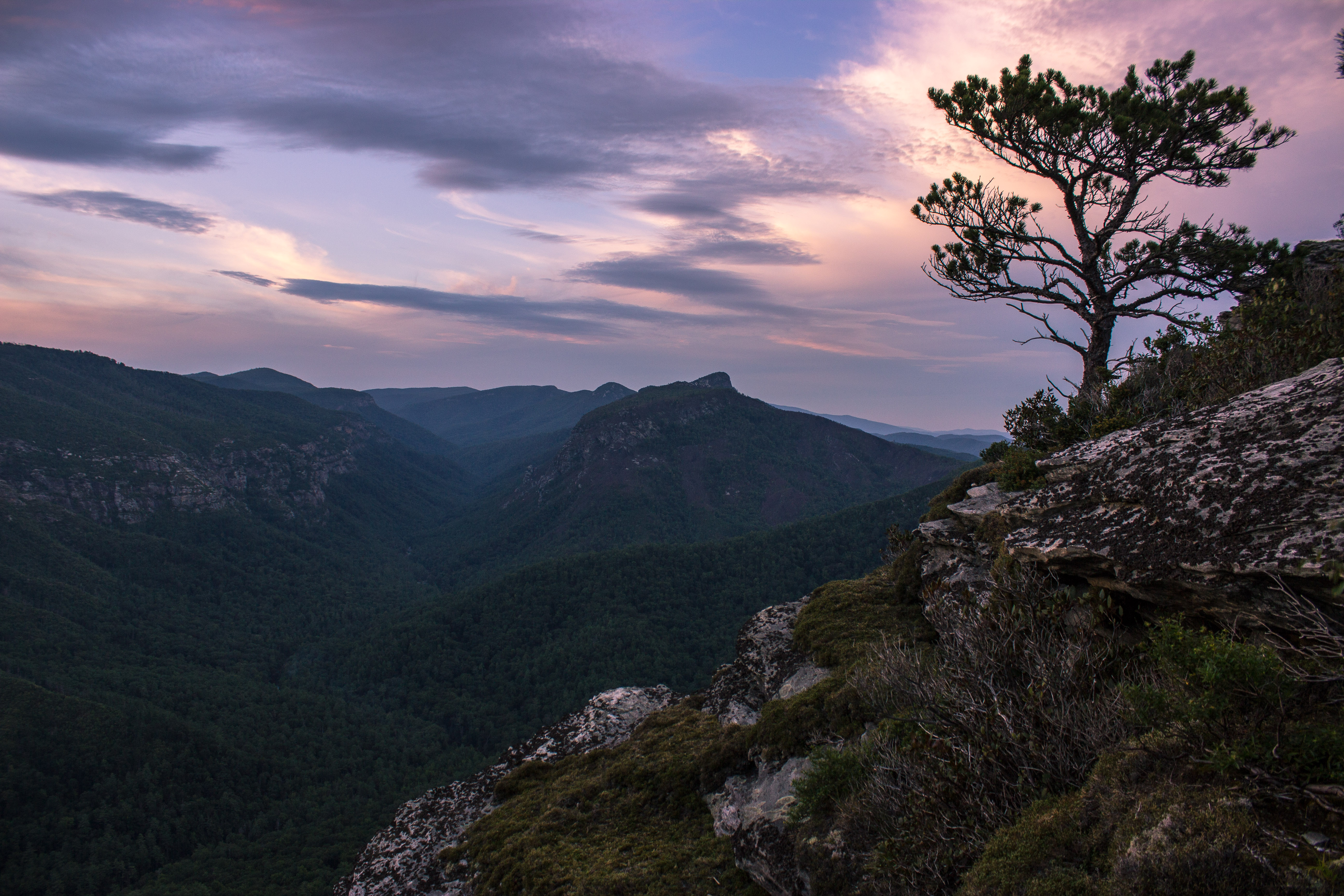 Shortoff Mountain Summit