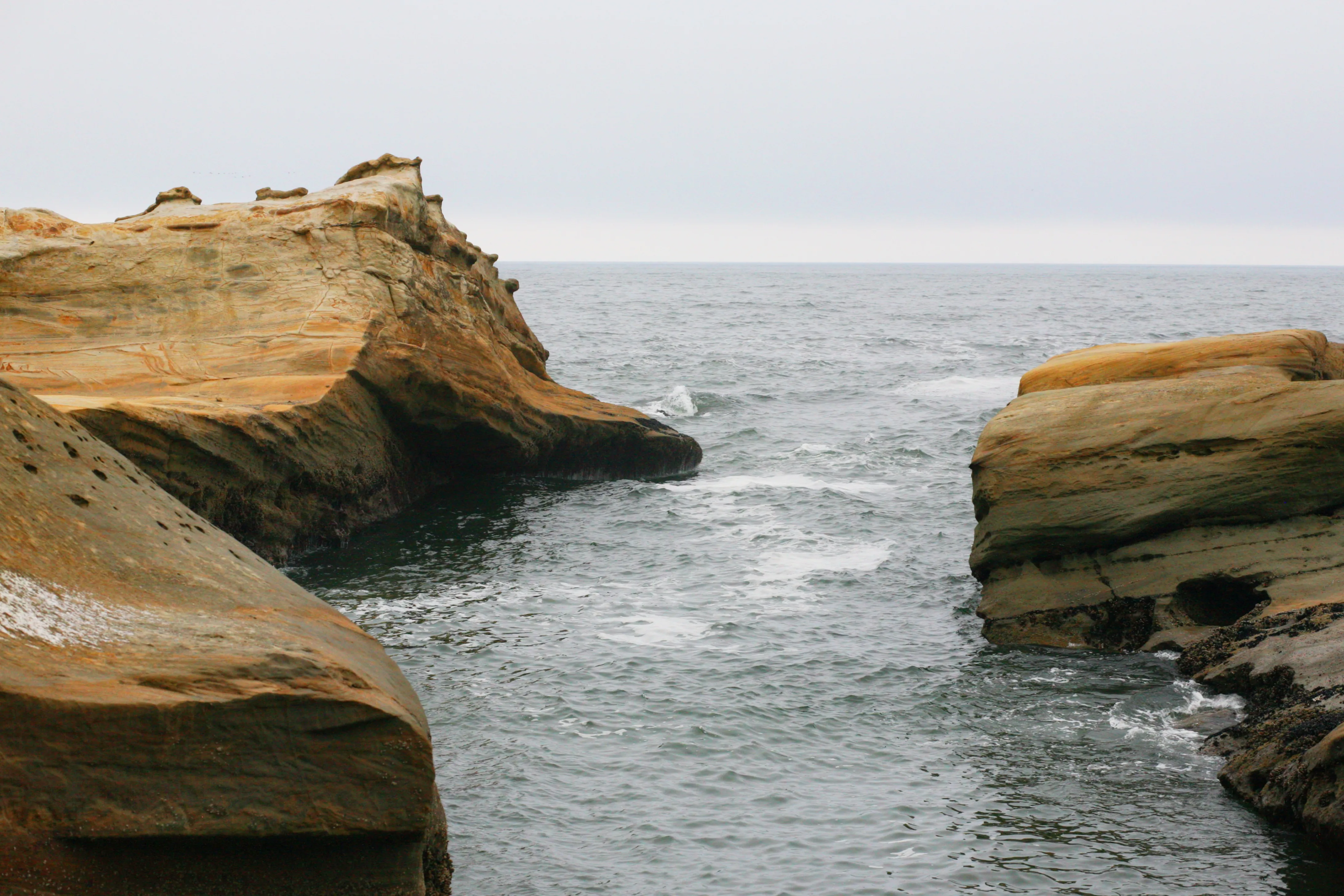 Explore Cape Kiwanda