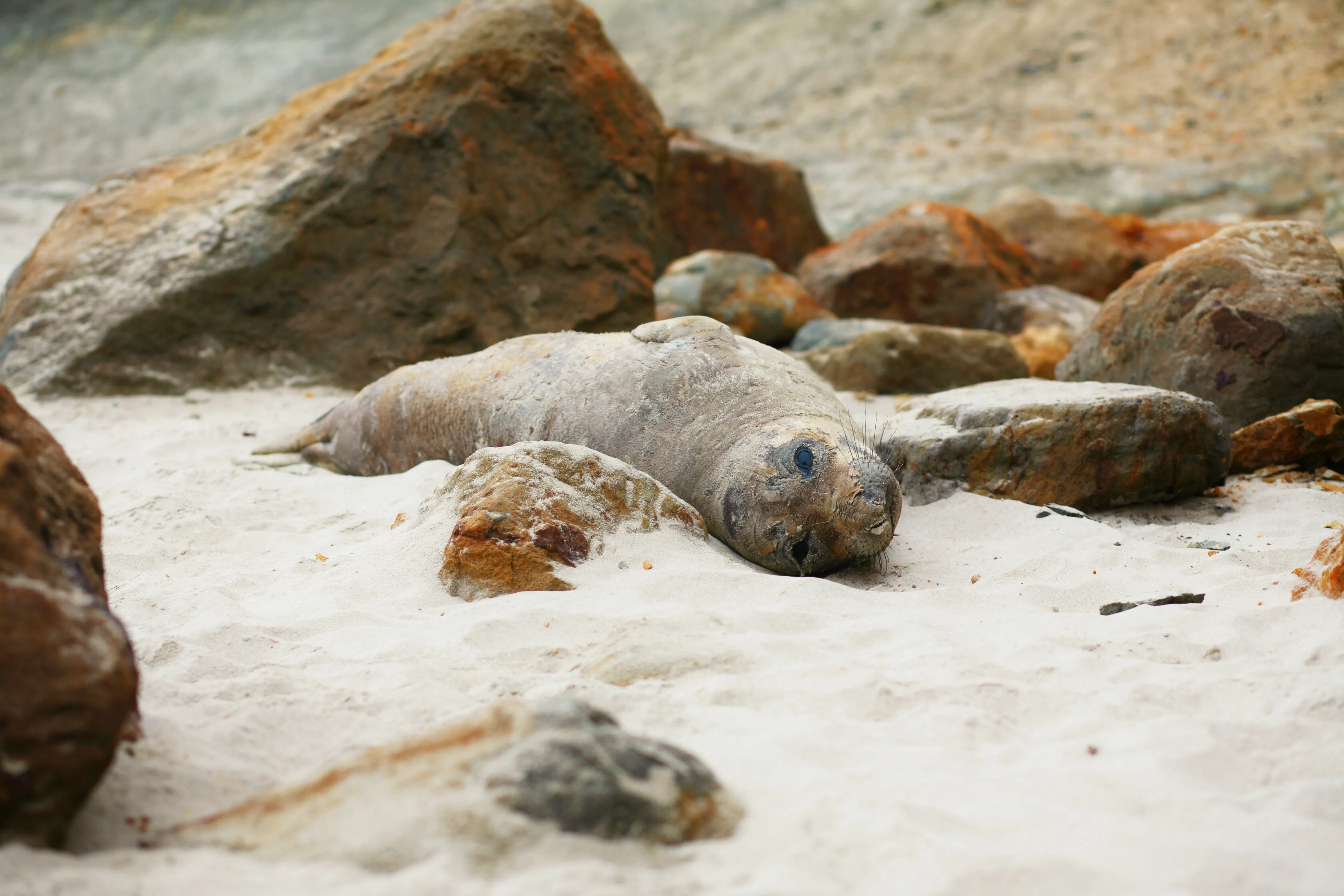Explore Cape Kiwanda