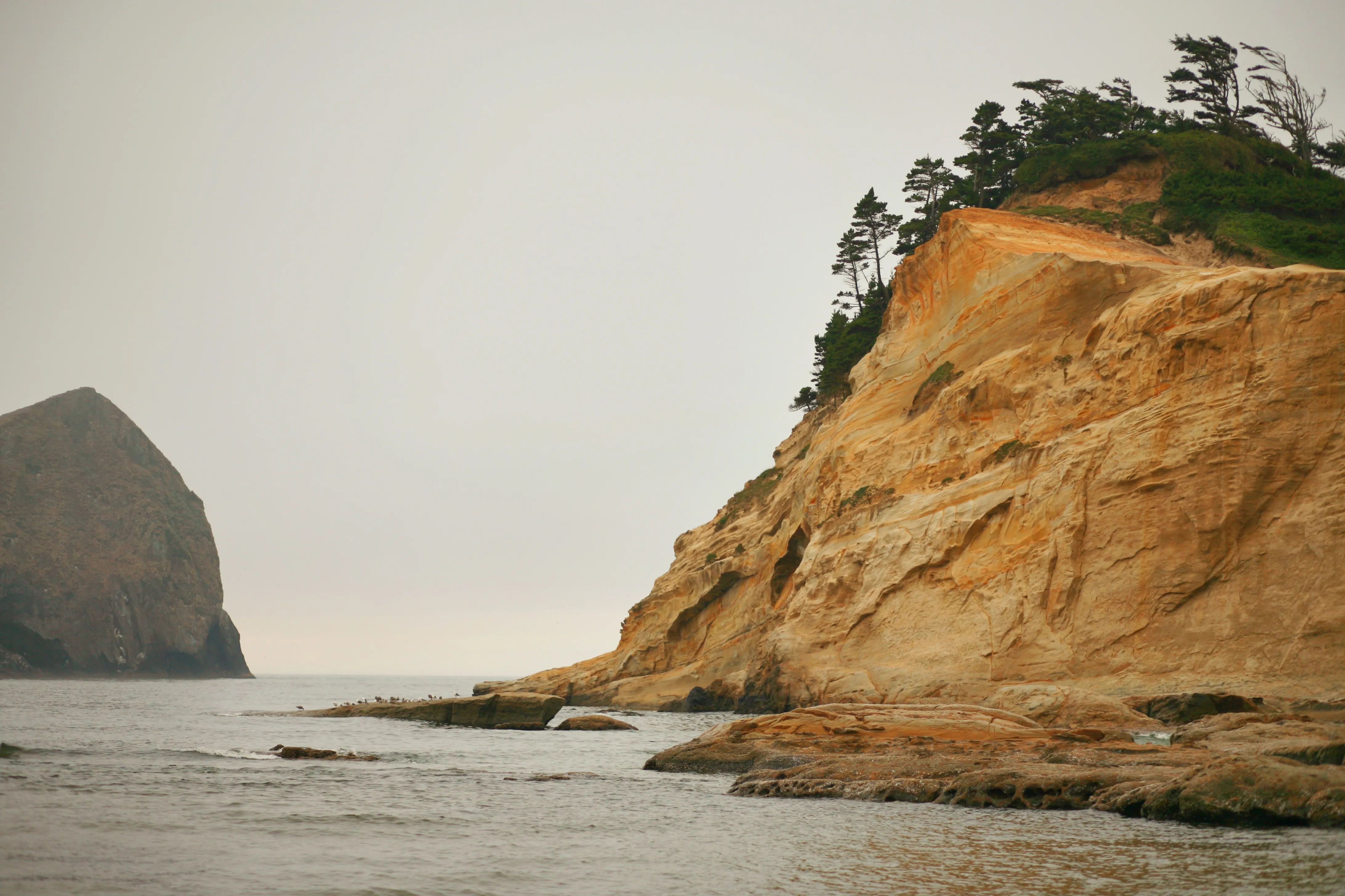 Explore Cape Kiwanda