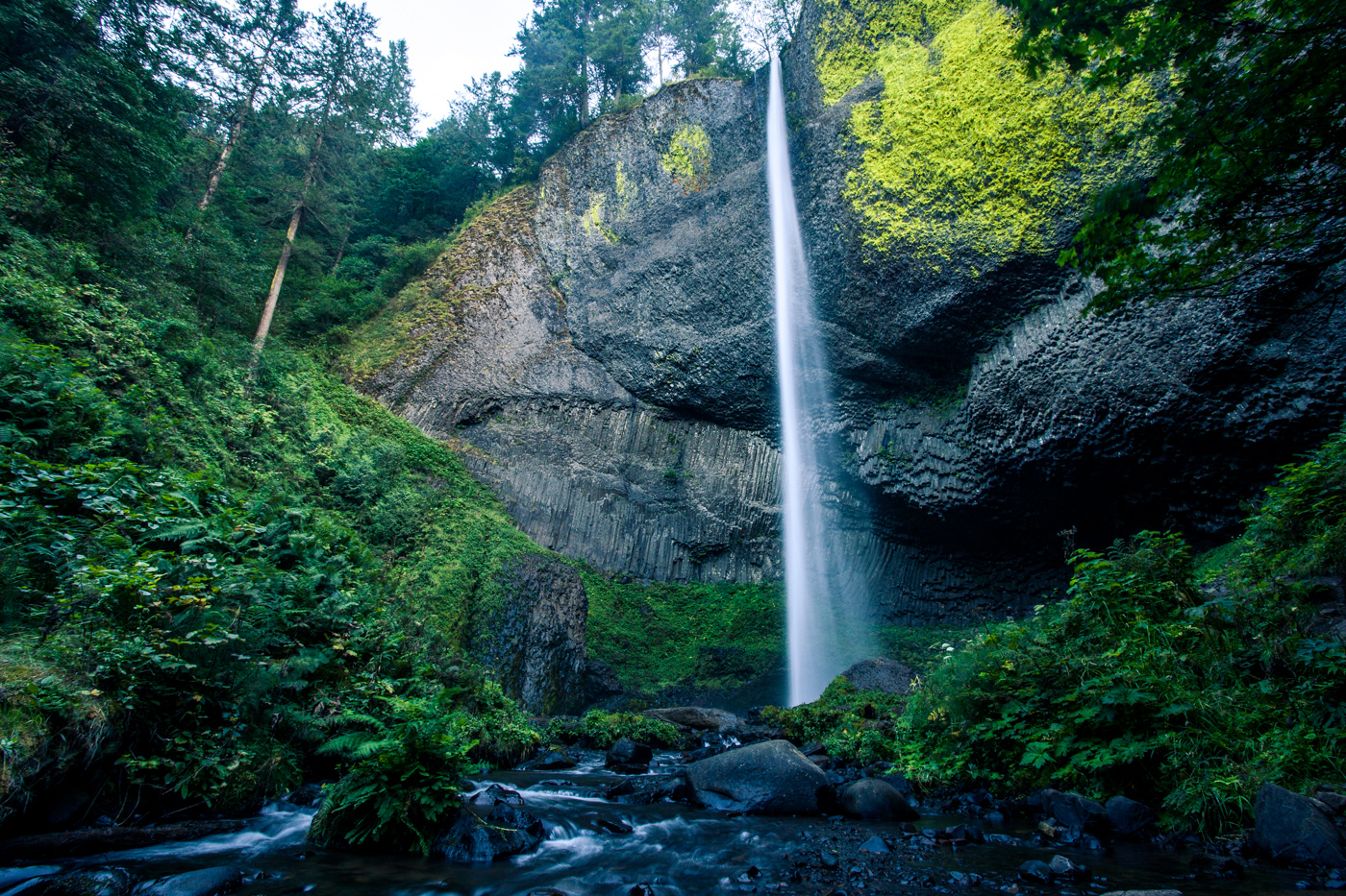 Latourell Falls Loop
