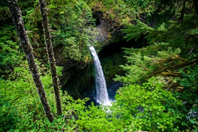 Hike to Tunnel Falls, Eagle Creek Trailhead