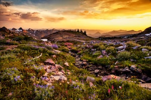 Hike to Panorama Point