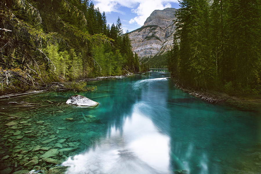 Backpack to Berg Lake