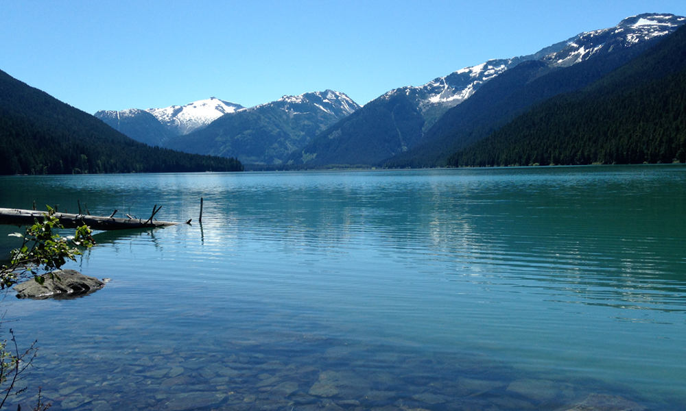 Hike the Cheakamus Lake Trail