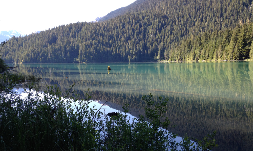 Hike the Cheakamus Lake Trail