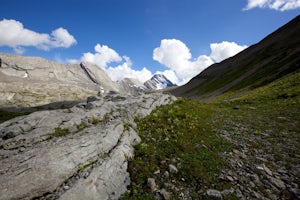 Hiking Burstall Pass