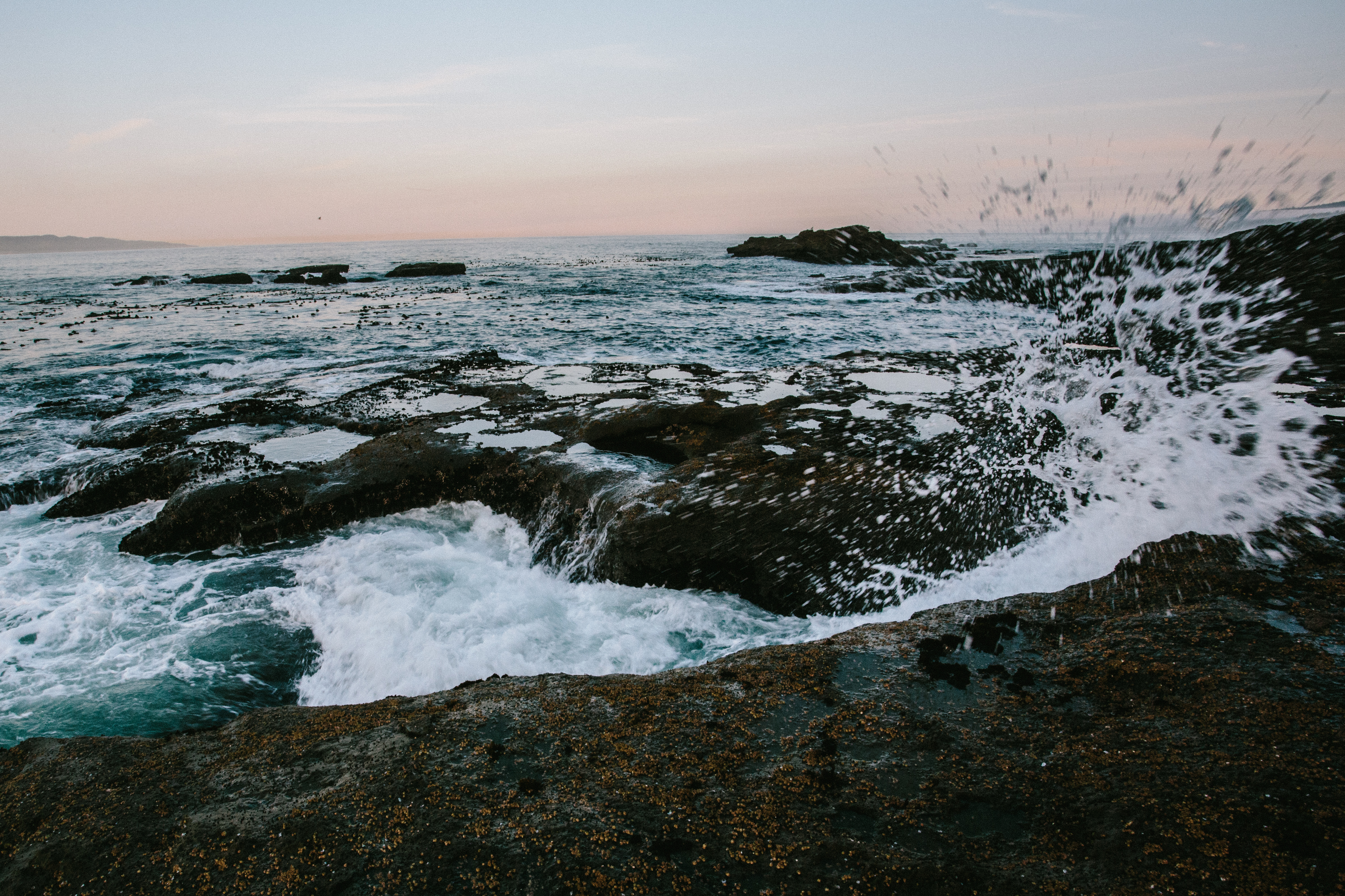 Explore Botanical Beach 