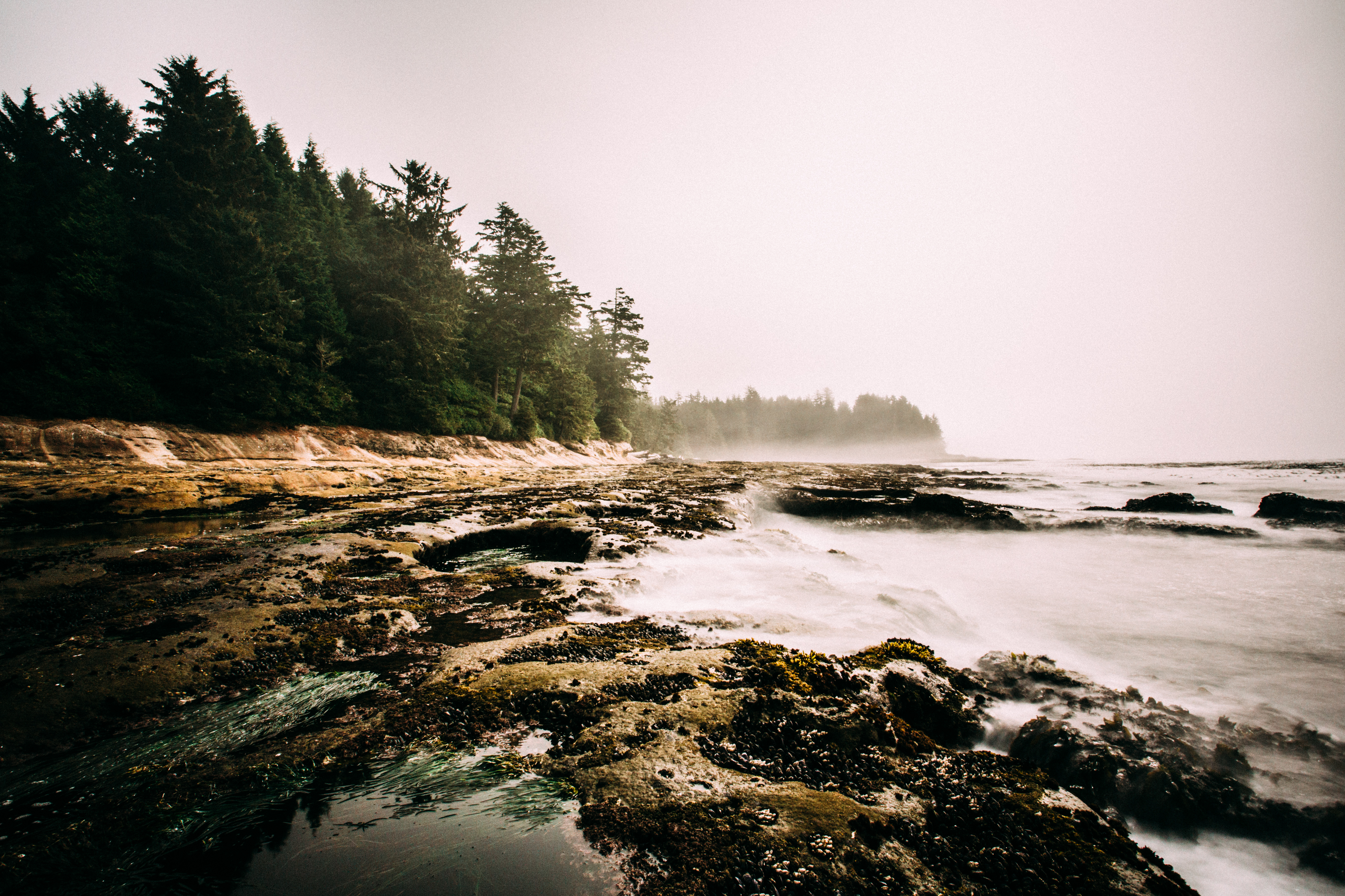 Explore Botanical Beach 