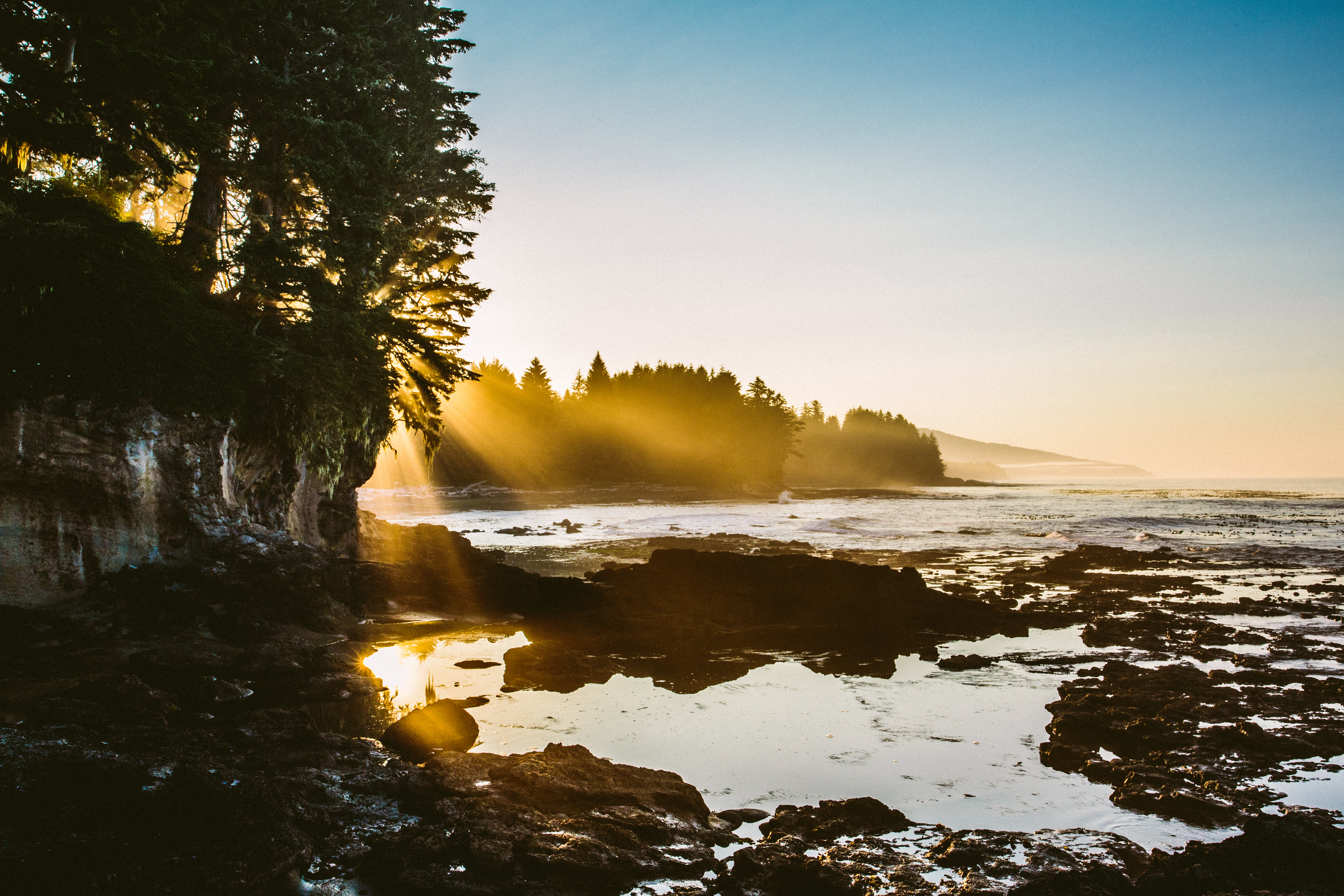Explore Botanical Beach 