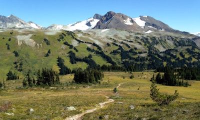 bumps musical trail hike