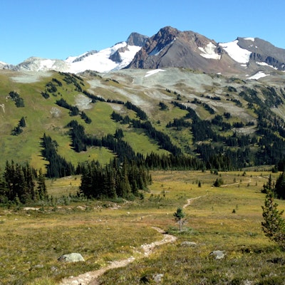 bumps musical trail hike