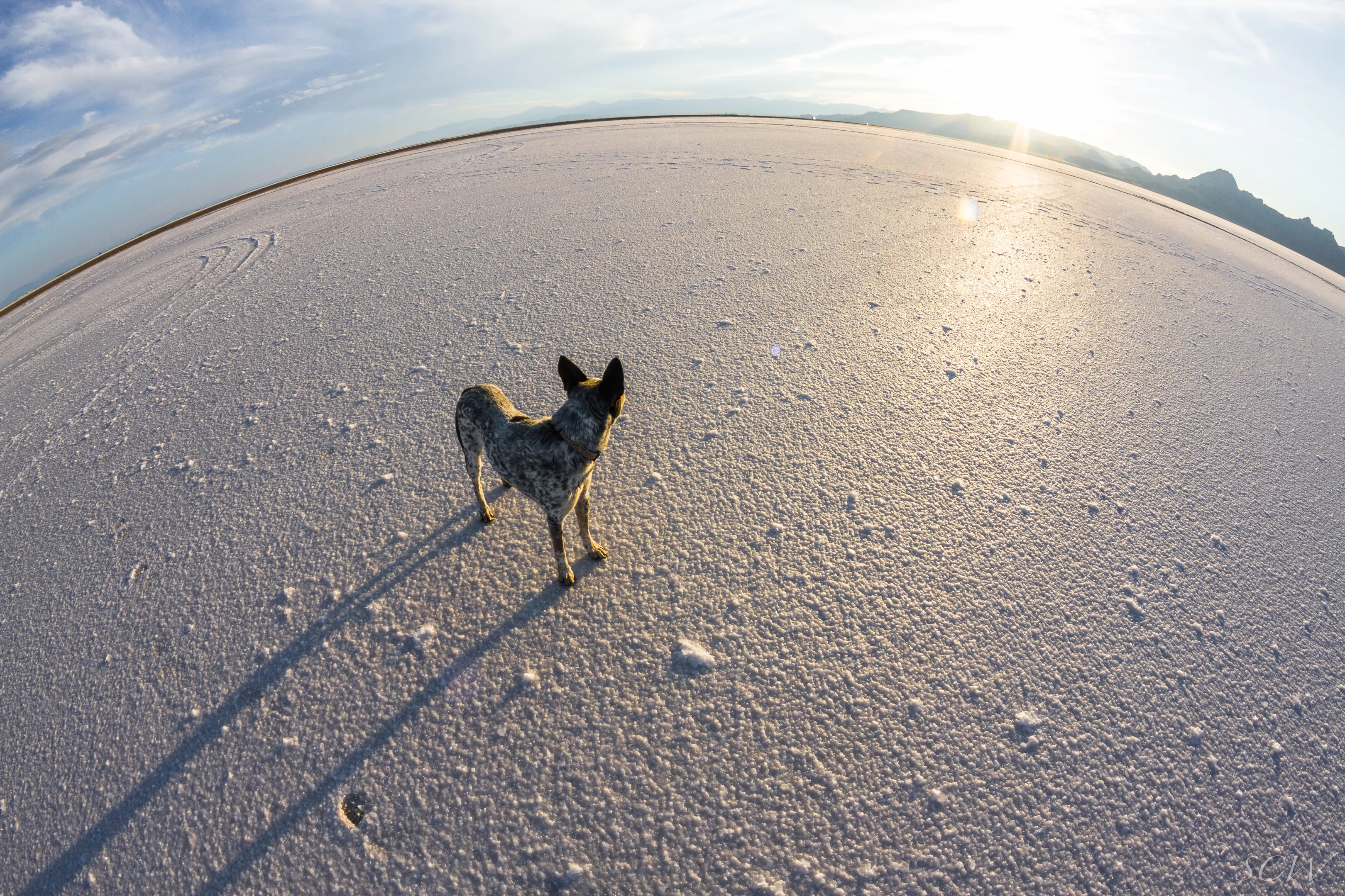 Bonneville Salt Flats