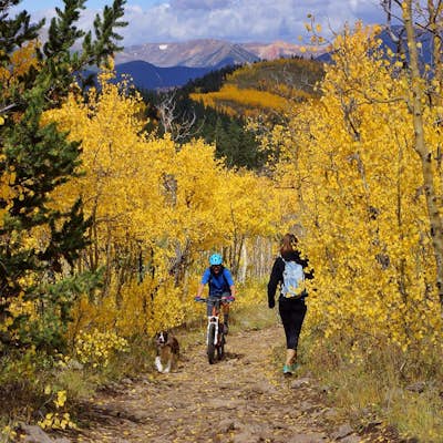 Colorado Trail: Kenosha Pass to FR 130