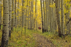 Colorado Trail: Kenosha Pass to FR 130