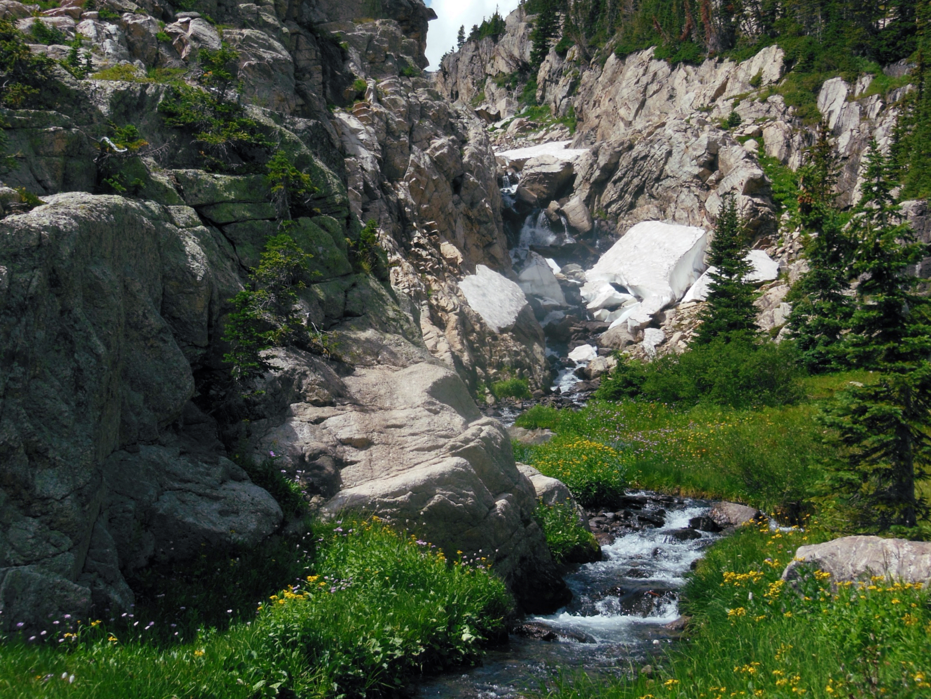 Bluebird Lake via Wild Basin Trailhead