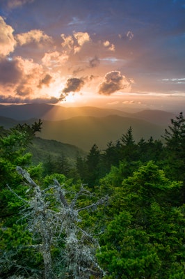 Explore the Treasures of Shining Rock, Shining Rock Trailhead