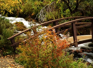 Explore Scenic Cascade Springs