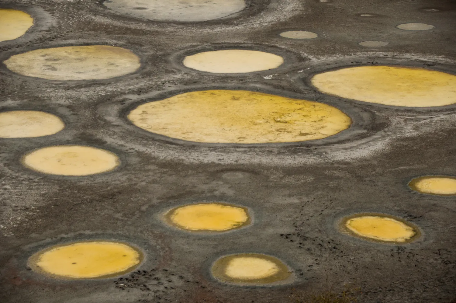 Spotted Lake Viewpoint