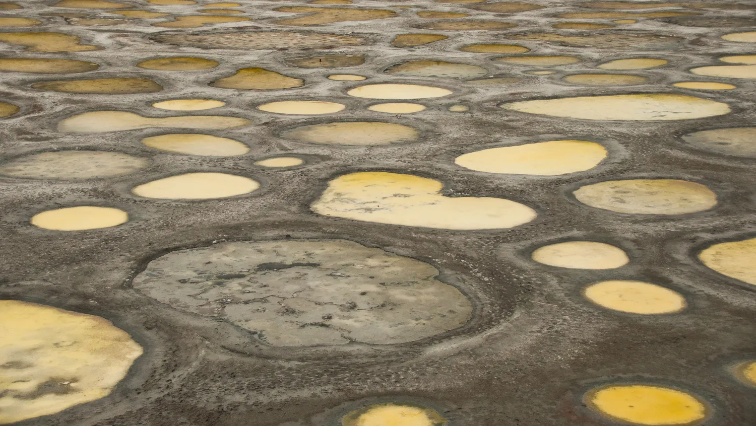 Spotted Lake Viewpoint