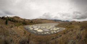 Spotted Lake Viewpoint