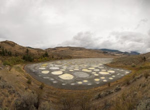 Spotted Lake Viewpoint