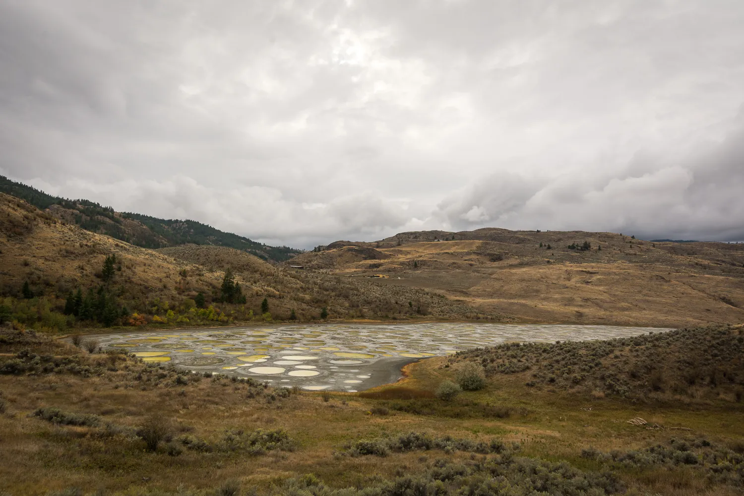 Spotted Lake Viewpoint