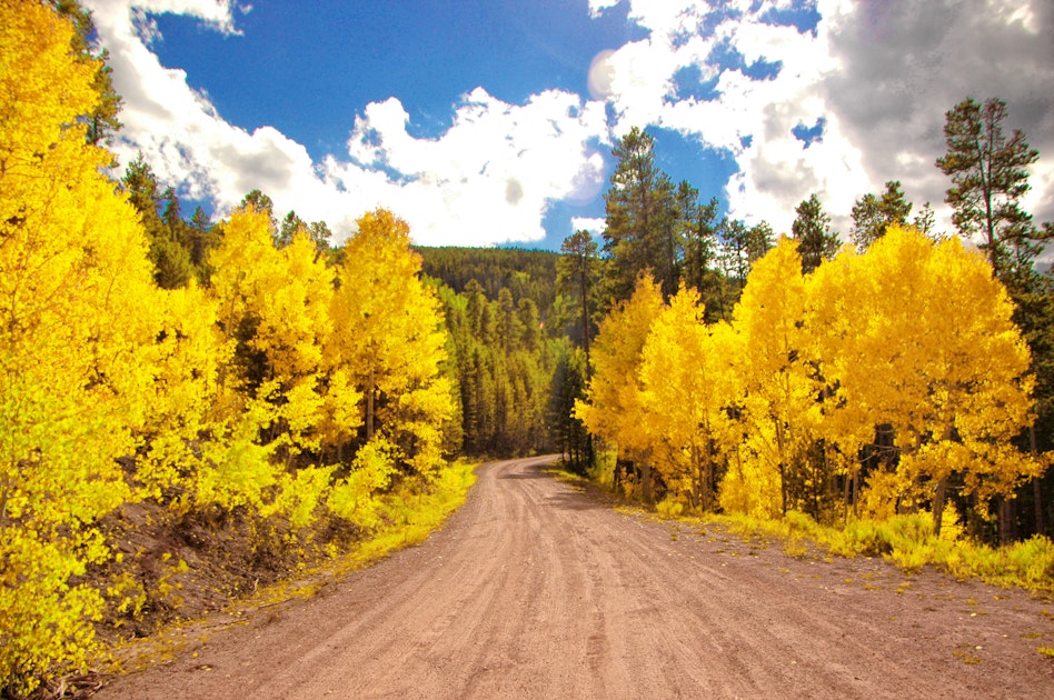 Explore Hardscrabble Mountain, Colorado