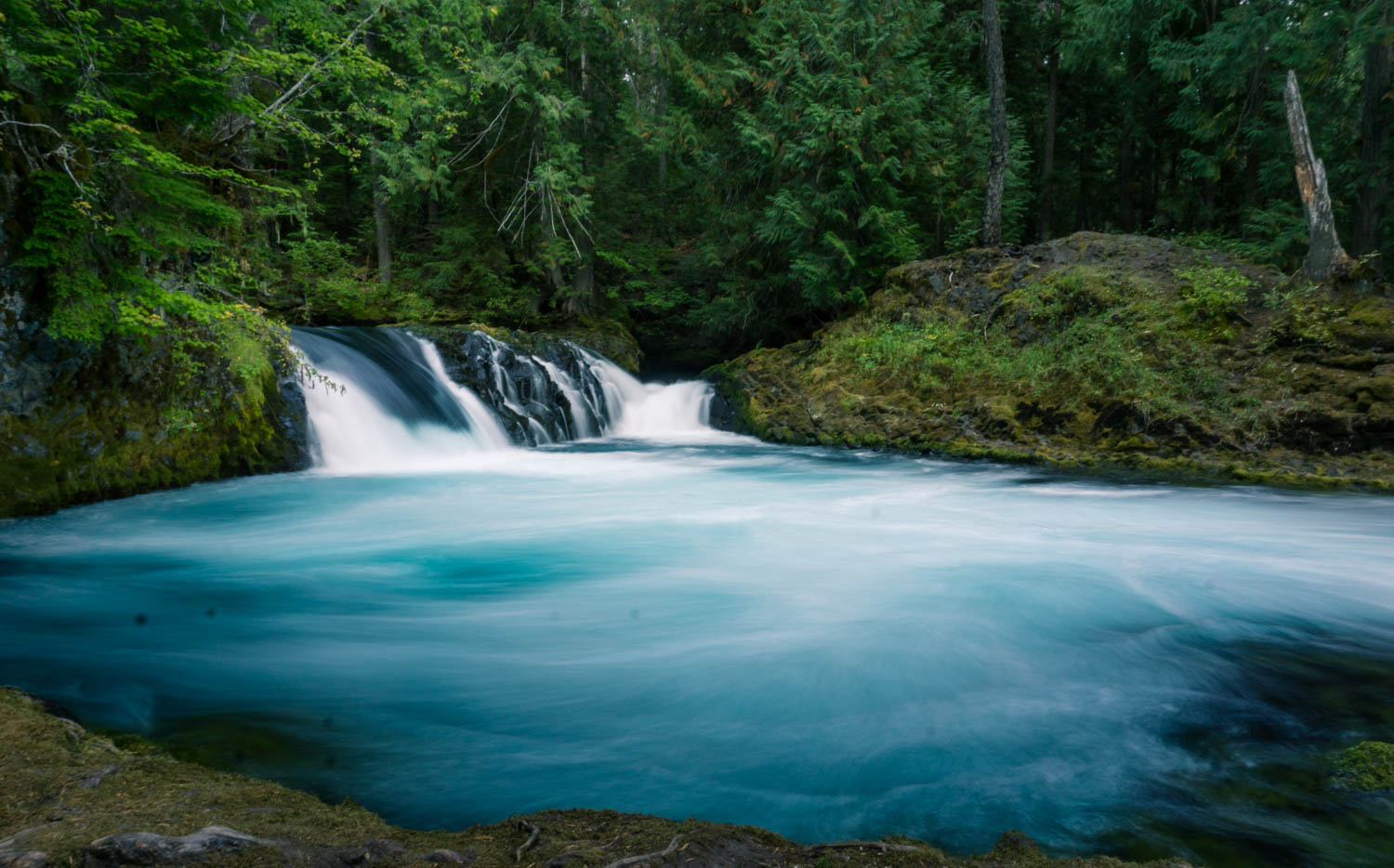 Hike To Sahalie And Koosah Falls, Sahalie And Koosah Falls Trailhead