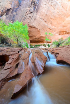 Backpack Coyote Gulch , Coyote Gulch Trailhead