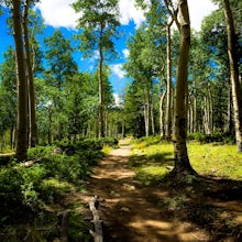 Hike Mount Shavano and Tabeguache Peak