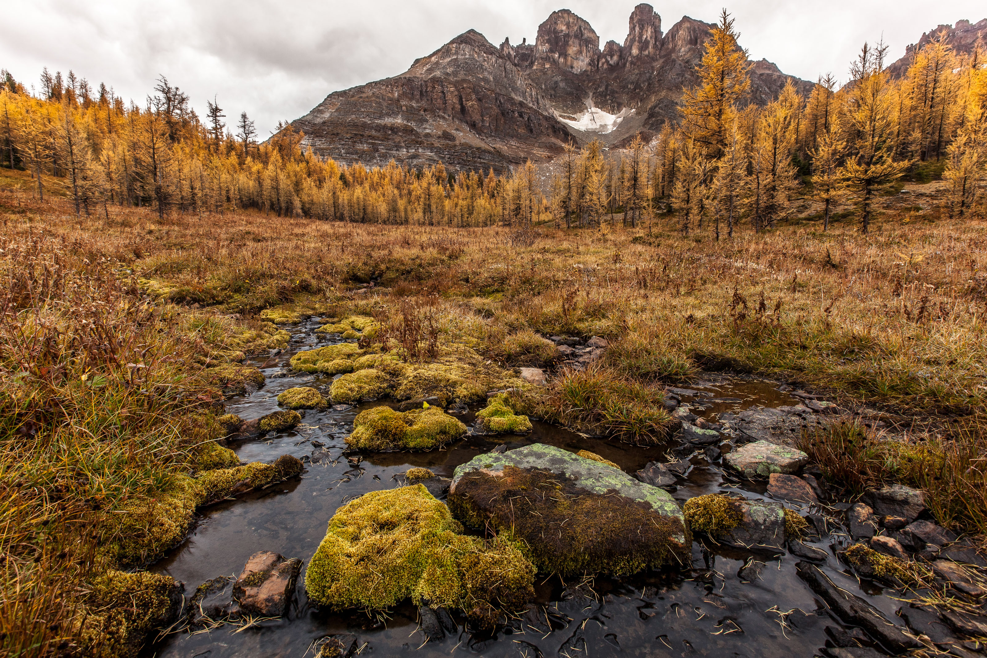 Explore Mount Assiniboine Provincial Park