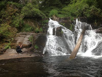 Day Hike Sweet Creek Falls / Beaver Creek Falls
