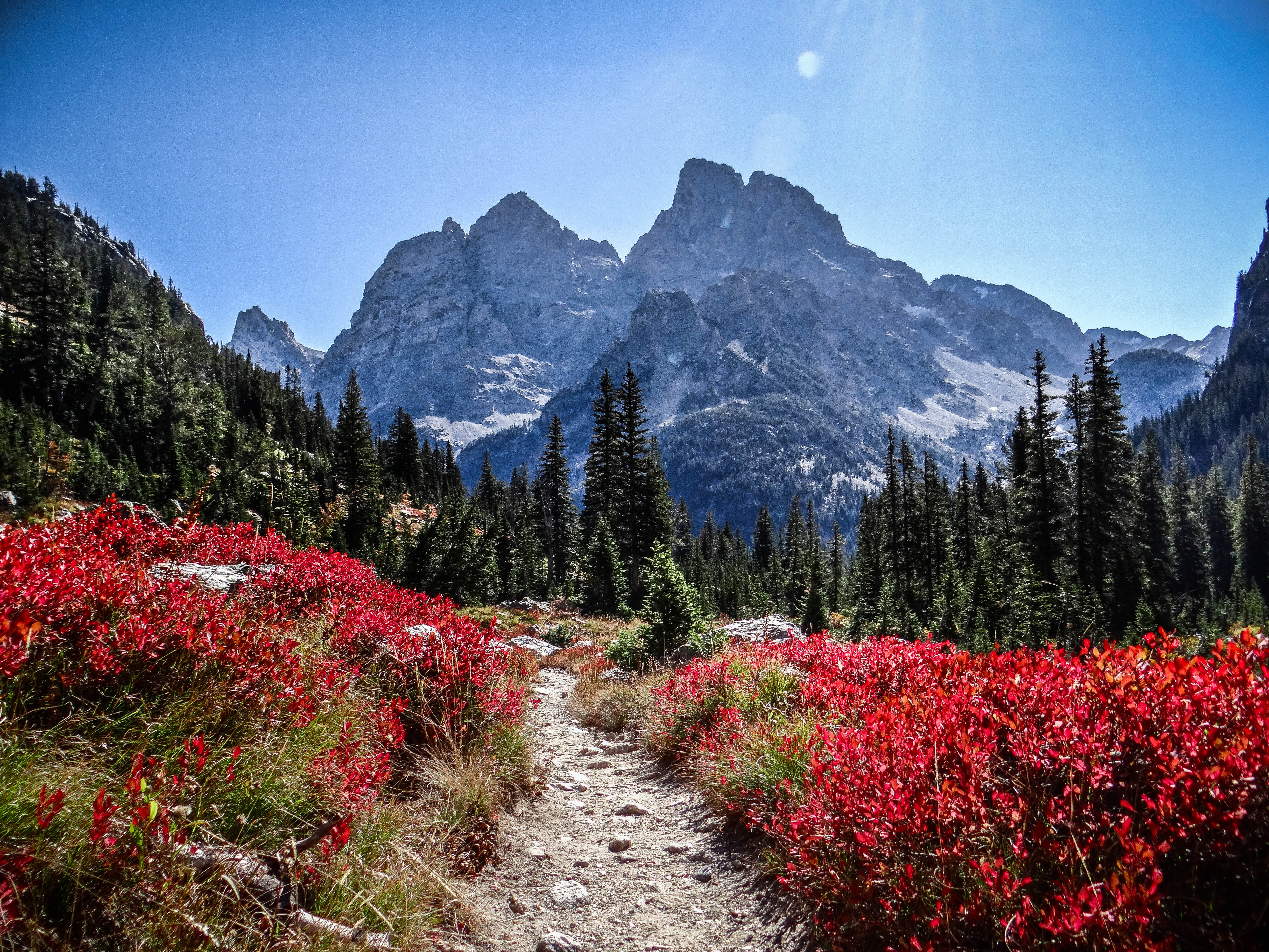 Paintbrush Canyon Loop and Leigh Lake Overnight