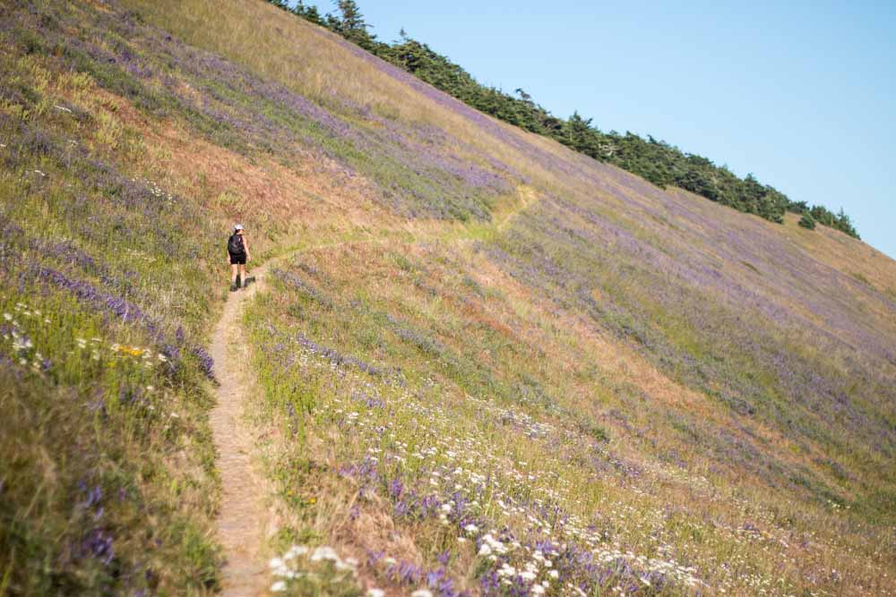 Hike Ebey's Landing