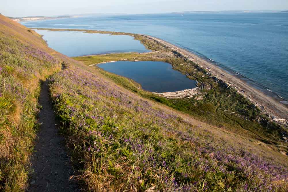 Hike Ebey's Landing